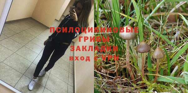 марки nbome Аркадак