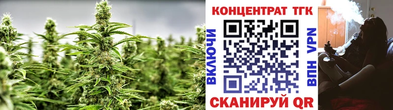 цена   Осинники  ТГК Wax 